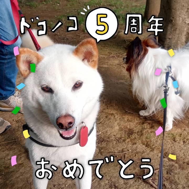 E62290c3 bfeb 455b abb8 044a0d15d866 1622948685219