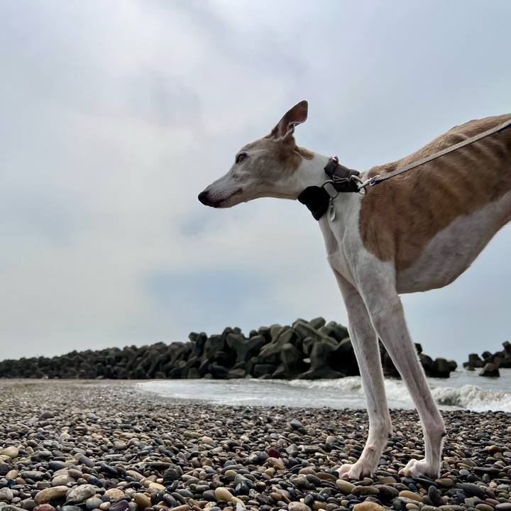 E622c017 8cda 4ae1 b260 7f2e582ff61f 1774253968368