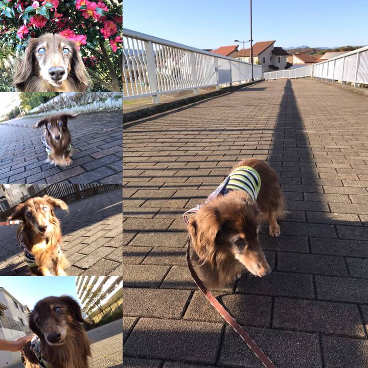 E622c16f fa4e 48e7 8ddf dec0033e1ae6 1575110224286