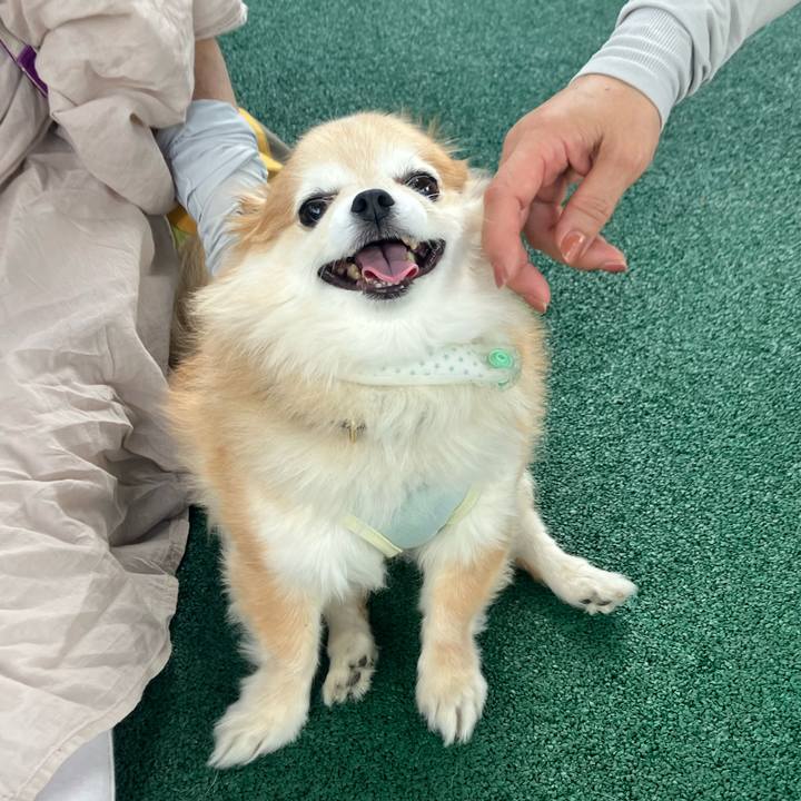 E6230171 b5da 4743 997f e6564e136988 1755416131979