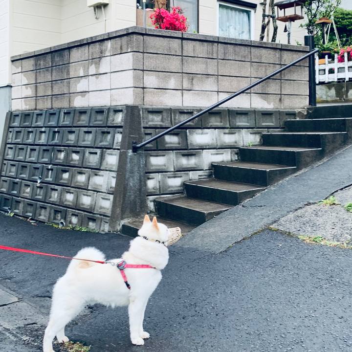 E6230771 9be0 40bd 825b b737e63c63a2 1591564577663