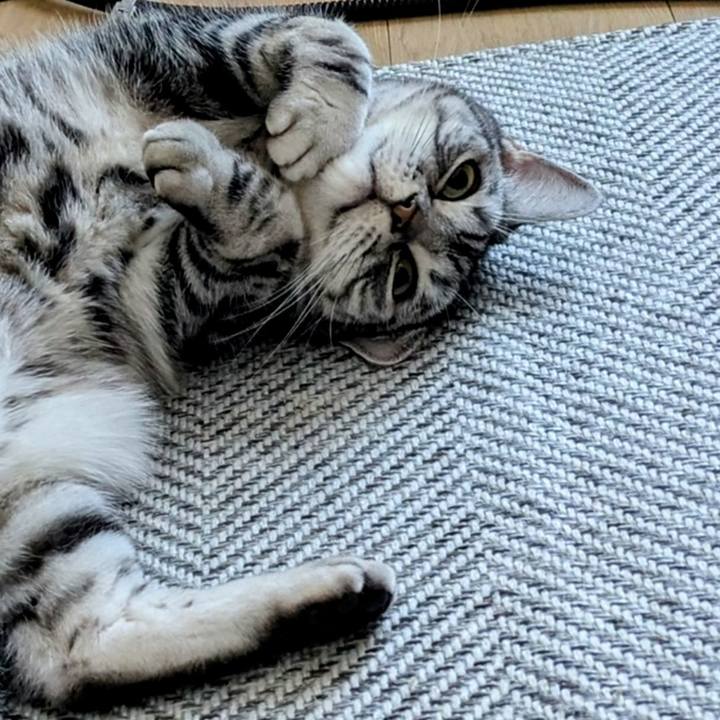 E6230aea 958e 4639 aaaf cff862da6164 1735516323723