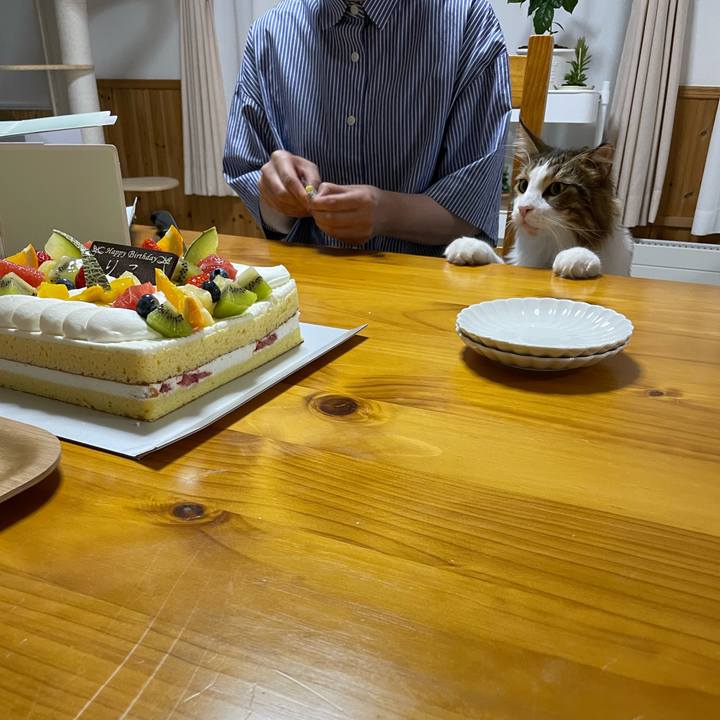 E6231782 9f86 4116 9eaa f2b8a07cfd18 1662546478137