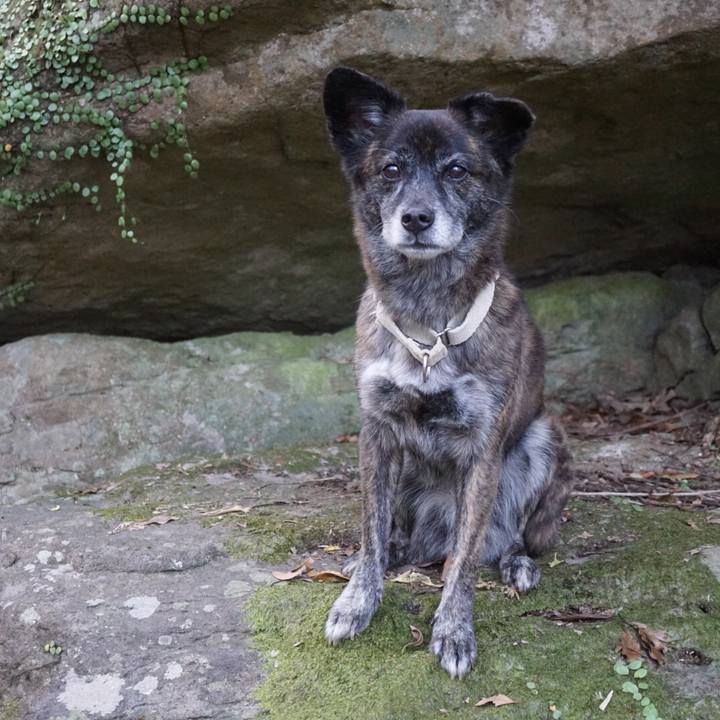 E62335bc 1d40 44bc 9c8a f5d13c588efa 1606263891455