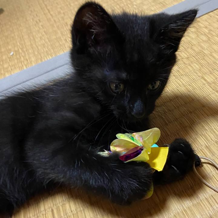 E623559a 9ddc 40ee 8f84 fd930d1e045f 1763987663422