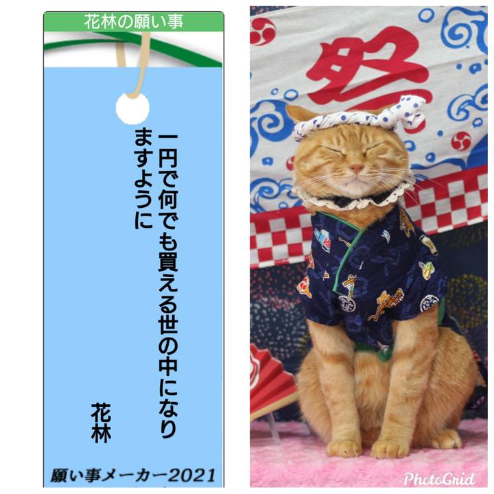 E6235c9e 4f98 407d 944e 618663f5ddcb 1625660188223