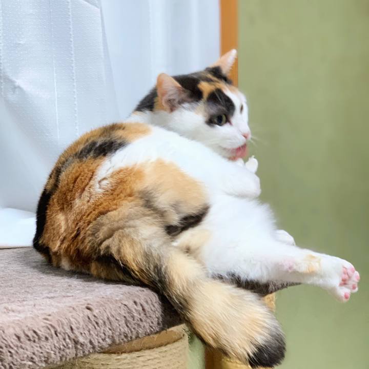 E623948c 6f01 482c bcd5 64cc0745f8cf 1553479415198