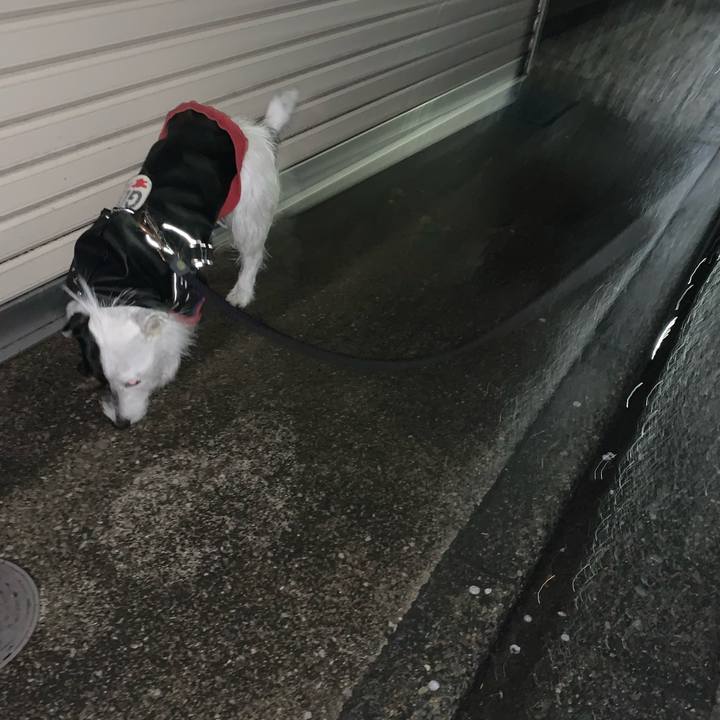 E623b7de b6ad 4430 858d 81ed2c5f1fd6 1678013640693