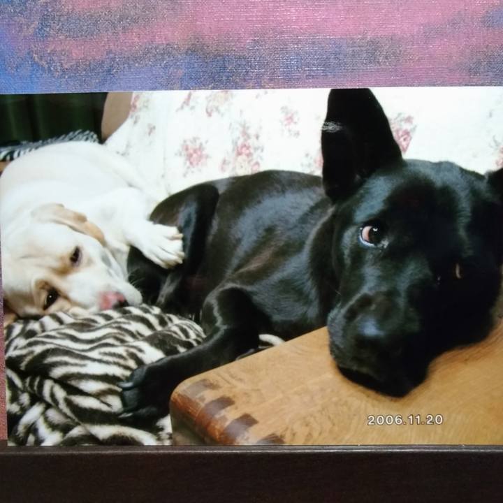 E623bbc8 677a 434e a991 44f56cb72903 1574573771812