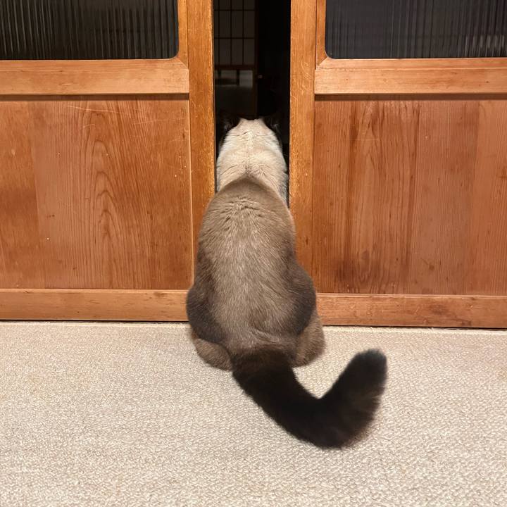 E623ec9b c61b 4d59 9db0 7c73a7349931 1667386462548