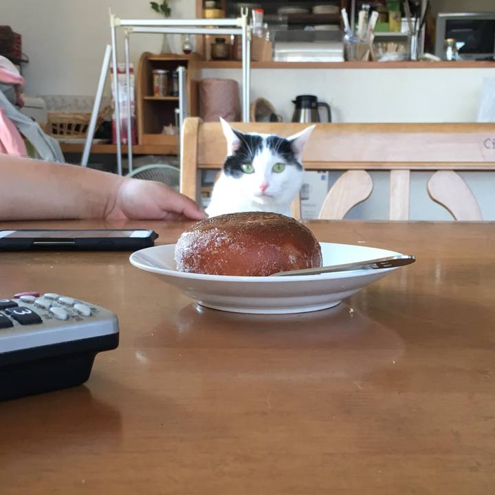 E623fff4 8f67 4eb0 83a9 8f460566c263 1509695558333