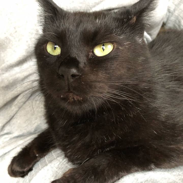 E6242e21 f98c 4ed0 a72b d3171ae6c8ea 1564127519301