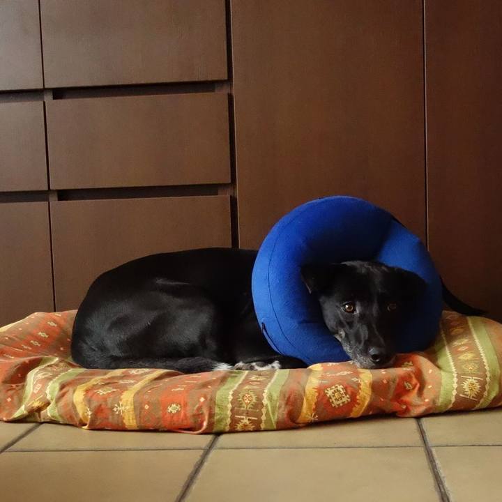 E62440b4 979b 4878 a050 1a6f17f5f99d 1629801291574