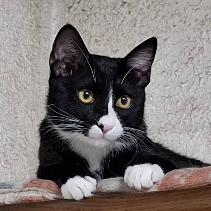 E6244161 b2ca 453f 8b66 11a4be803149 1767308468468