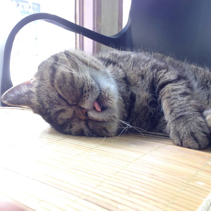 E6244fdc bdbb 446b b65f f439afe6dff1 1513296811178