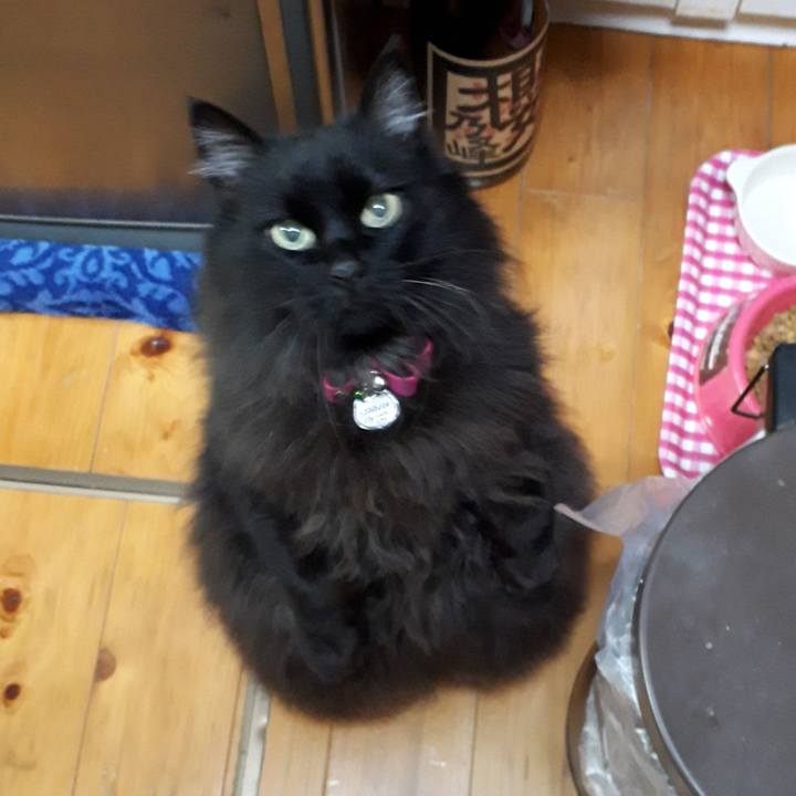 E6246669 e22d 455e 83d9 a62af349fef3 1522704573948