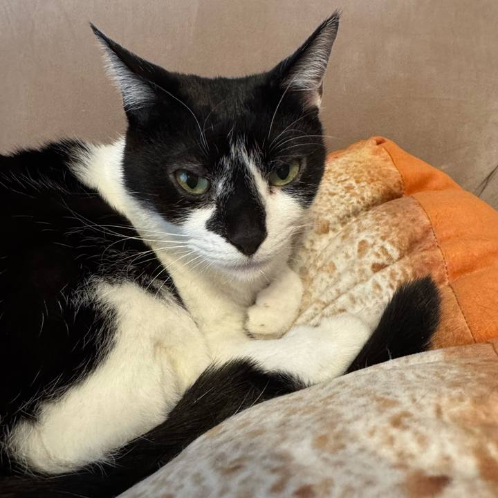 E6247866 ff3c 4c3d b395 1075bce94c1a 1774406429975