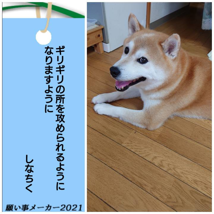 E624c218 954b 4ddb 9517 c6450dbeef2e 1625612205978
