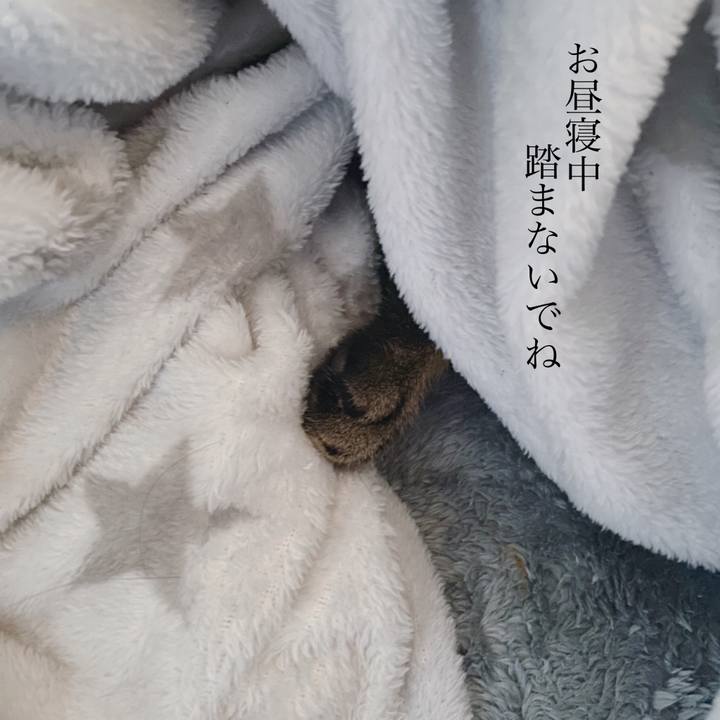 E624da9d 9cc1 43fb 93de c3c3b7032fde 1578291696571