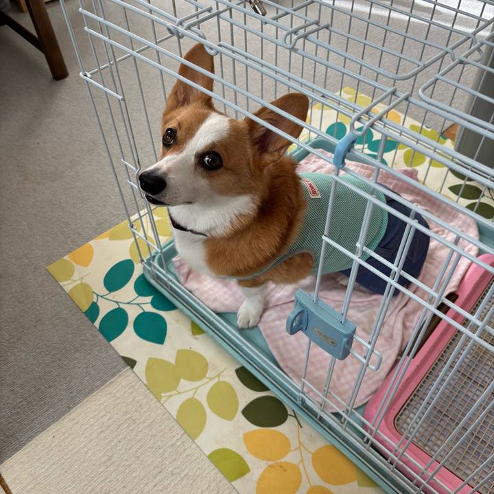 E6251584 2085 44a0 8ec4 46e0e7ec25d2 1757831070686