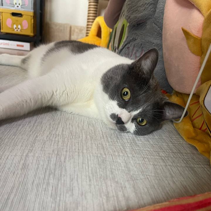 E6258c43 7a93 4f19 b74a 79e9ca29a21e 1753914723272