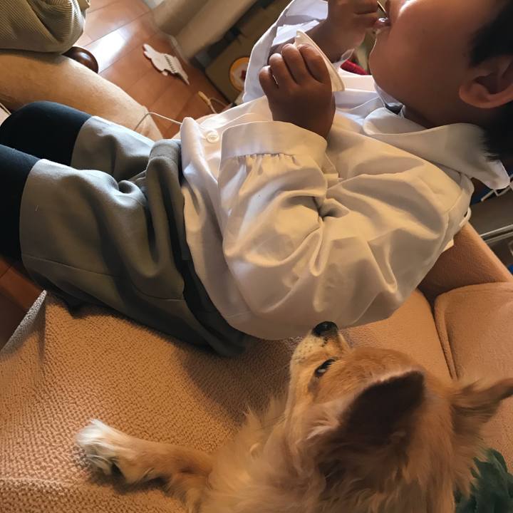 E625d5cc fc7b 4ecc bc67 fee361981862 1510901721557