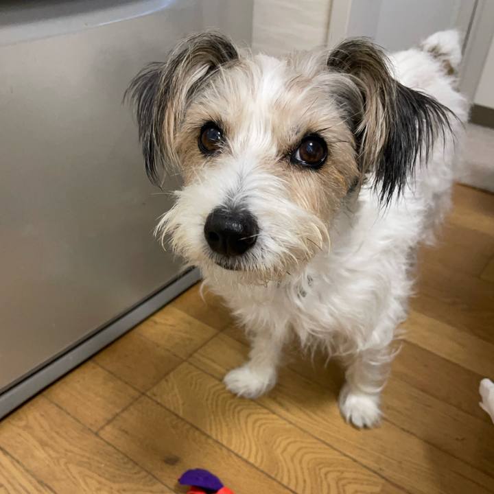 E625e16b 52d2 4352 8fd1 79b8c66e7445 1762933200245