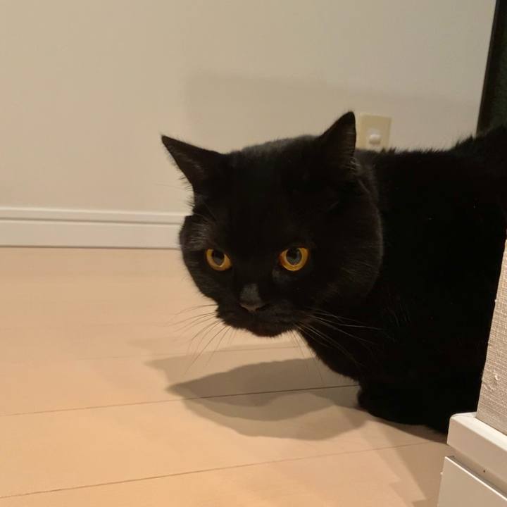 E6262cec b58e 4512 9838 00606c12560c 1676204813280