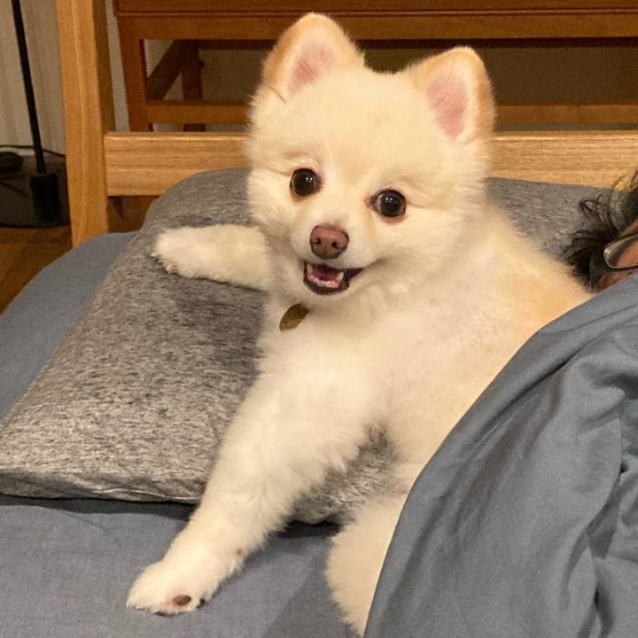 E6267f94 db48 403f a115 ebba855a8f6f 1633007361471