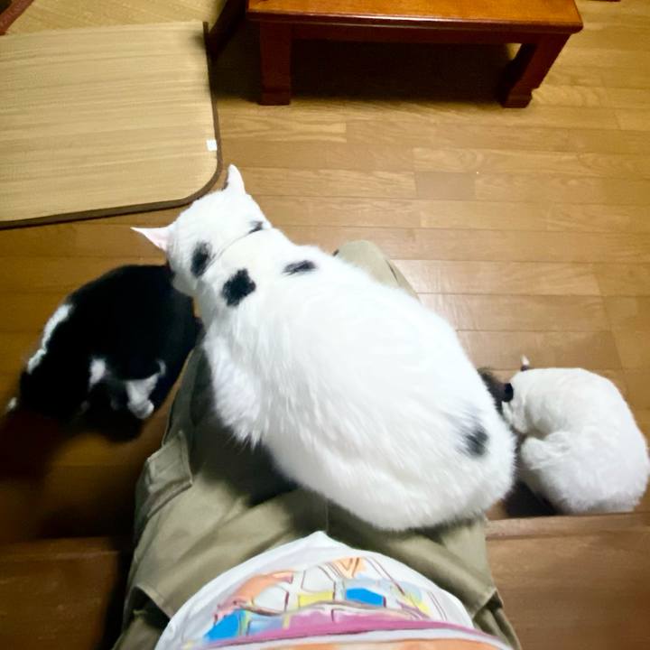 E626c917 9319 4e2c 92c7 15ce1117c848 1696464957831