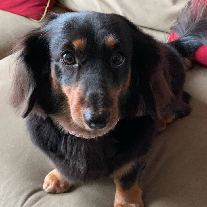 E626d77b f566 4932 b78e 0b347910ee6f 1599911197869