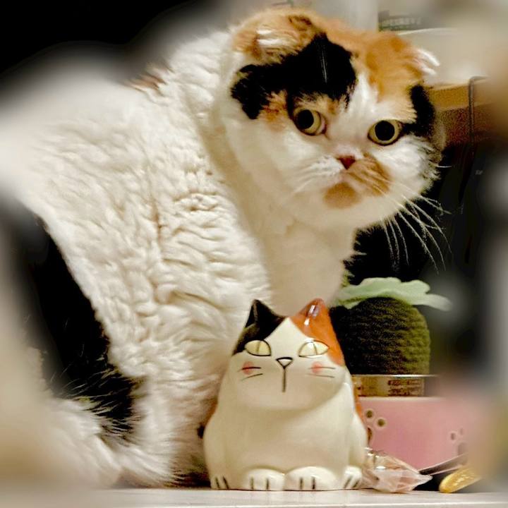 E6270a9b 4d2f 4238 ae14 8f5f589199ef 1723177807077