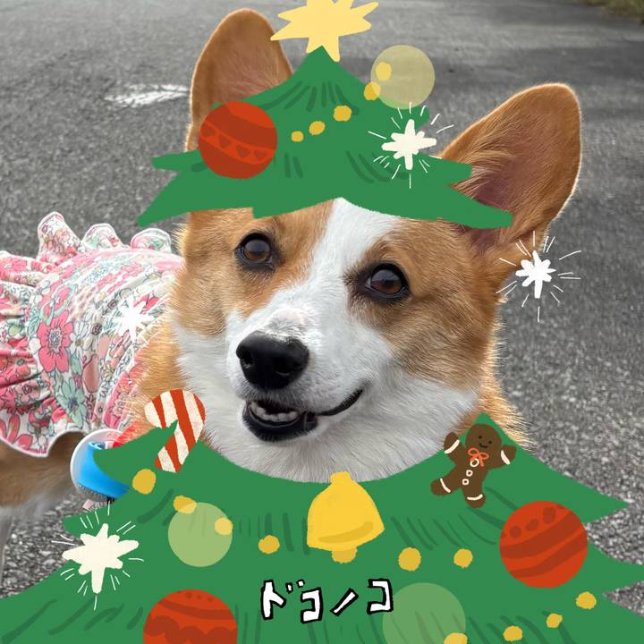 E62714a9 449e 4eca aeb9 003df2dac780 1762383584677