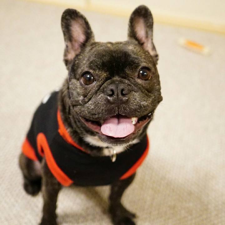 E6277950 6392 4ce1 b09b 0791ba67da7c 1521720451953