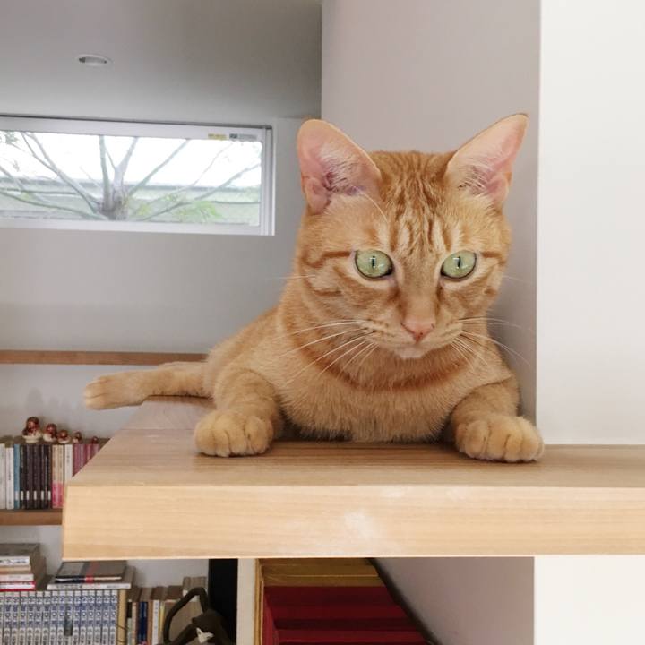 E6278c94 5764 4f21 b48c 4283f5b9c55d 1570421773501