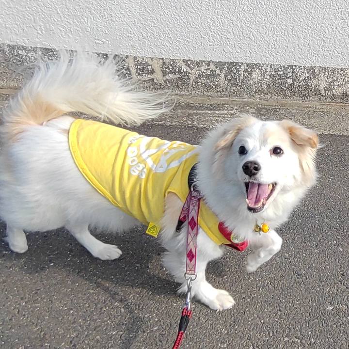 E627977b 522c 489a 947f a85e6b79f50b 1643323020535