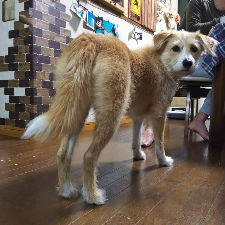 E627b43c 65e0 4c8d bcd3 b1bcf36c489a 1550053592558