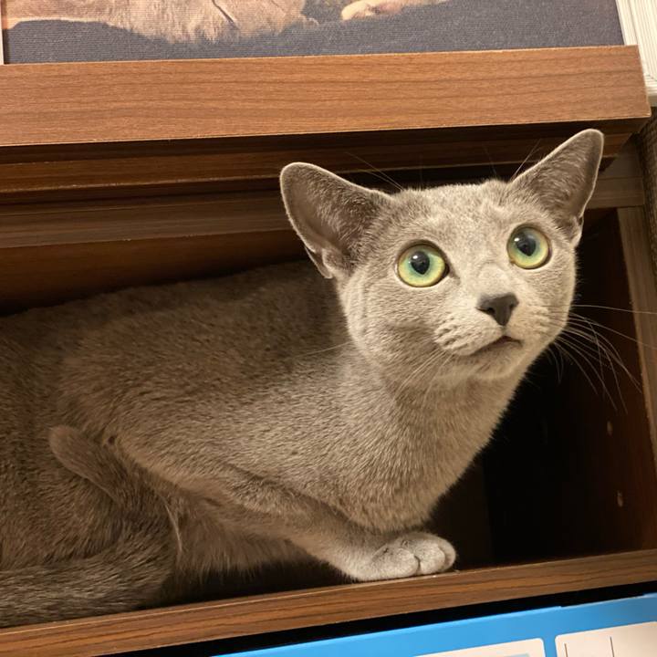 E627c70c 115a 4ad3 ab85 1311f0d32f67 1644460978457