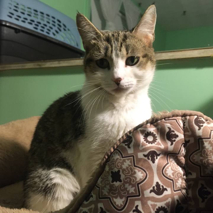 E6283900 9d00 438f ac60 6efc270198a7 1632794000600