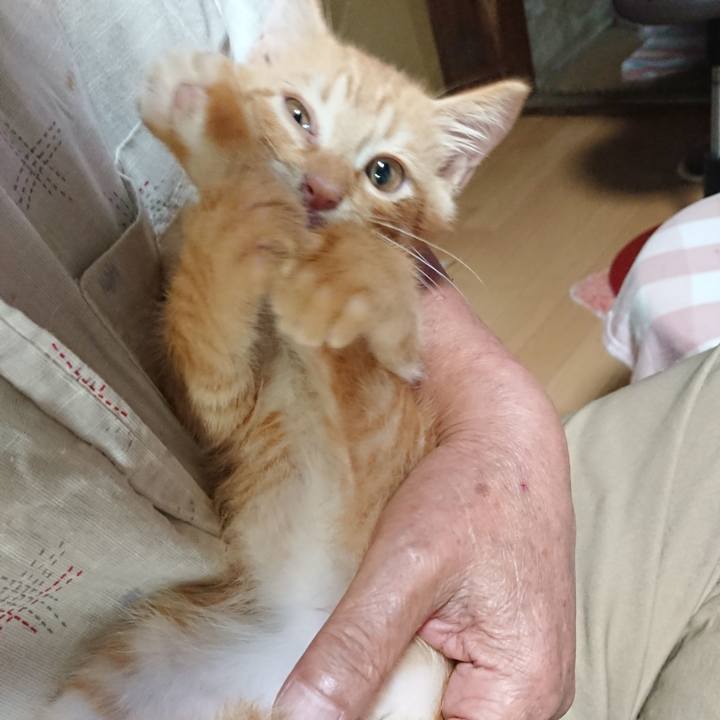 E6287236 54a5 4cce 9424 a639b55bcede 1630286835963