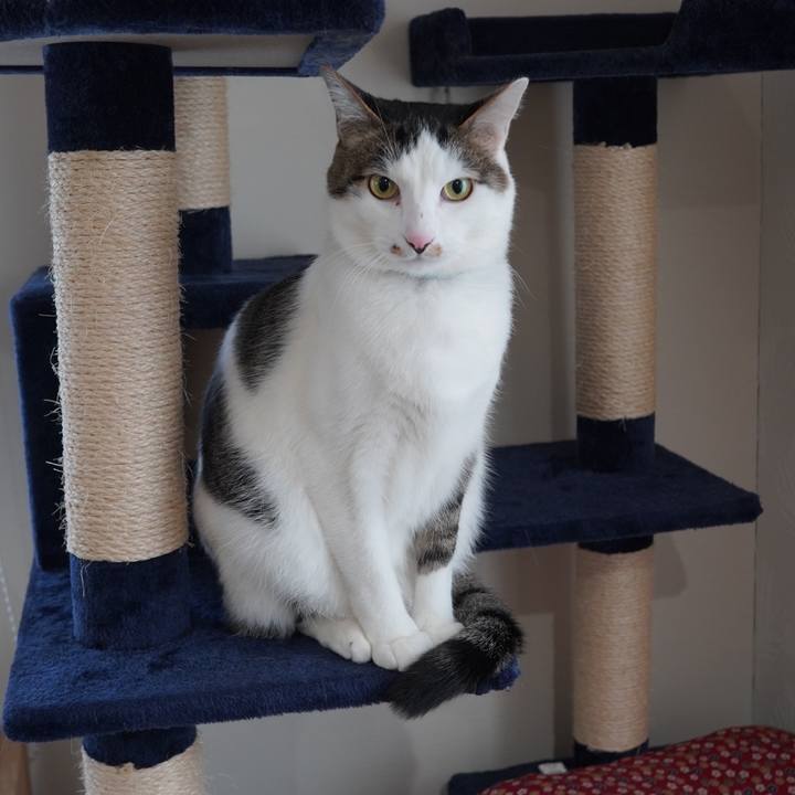 E628d818 699c 4818 b9b8 d69e6bf5be4b 1610456220637