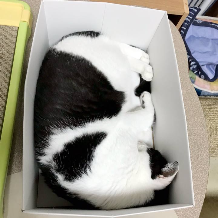 E629185e 8037 4138 bae5 c5d3798f8e31 1538061708062