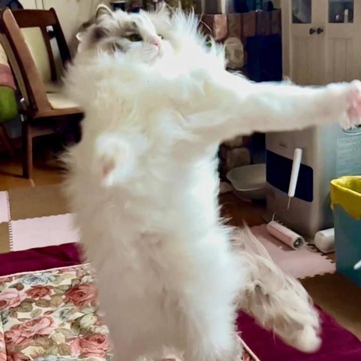 E629245d fc0f 48ad 8d7a 0b033fcbdff0 1654261446030