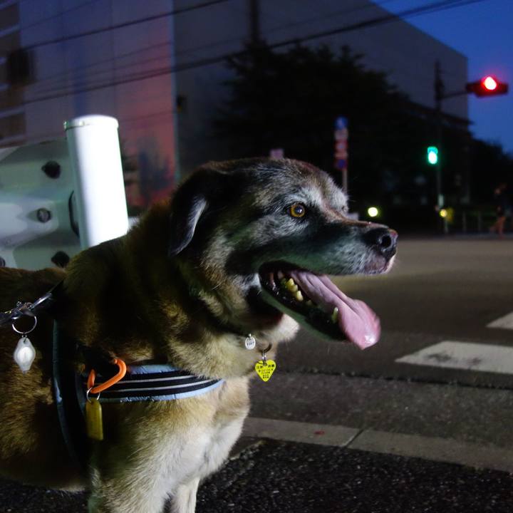 E6292a8b 8883 4979 853e 0ac29b281028 1565780731833