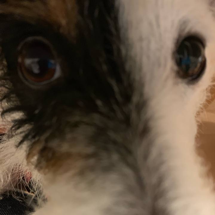 E6293670 c5f5 4e82 a4ca 85a4e31a9f99 1551951771555