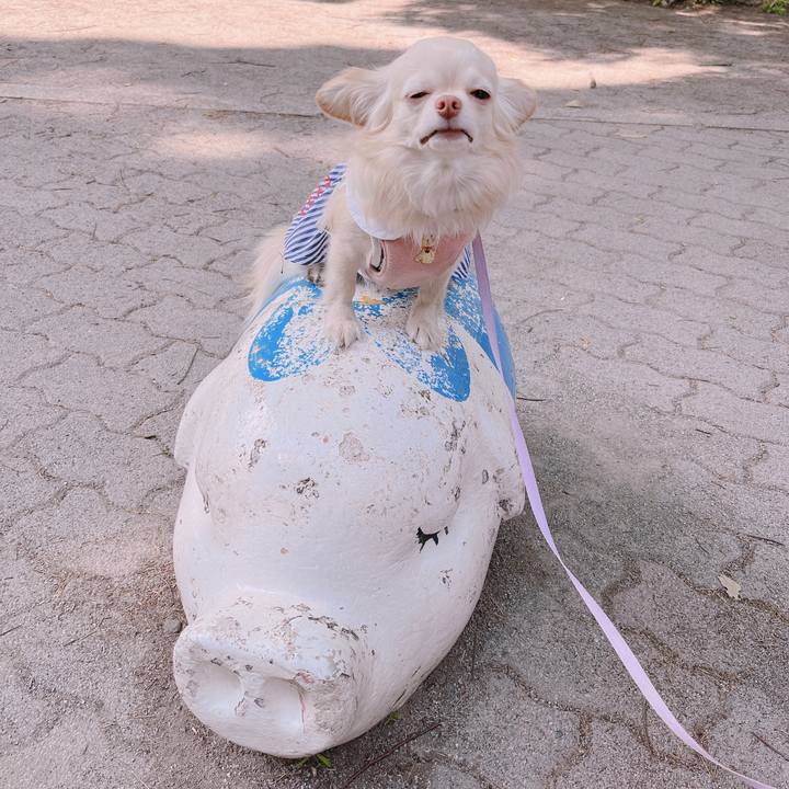 E62938de fbc1 4ea9 b12c ac8e078c4cd2 1651569900320