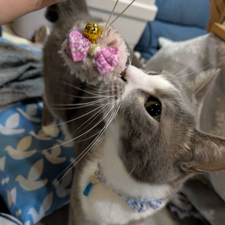 E6295141 4dc2 4640 b793 031c765900f4 1732960942363