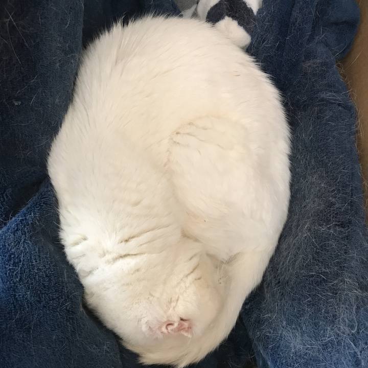 E62955ca 6bdc 42a5 b98f 3165852caaa4 1539655864944