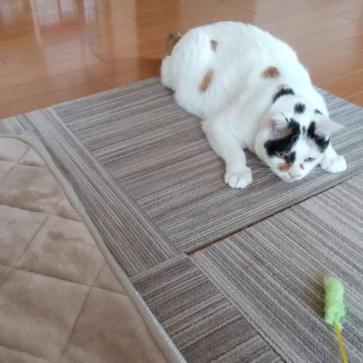 E62963b6 66e8 46be 922a 81e7ed5ae712 1646626206553