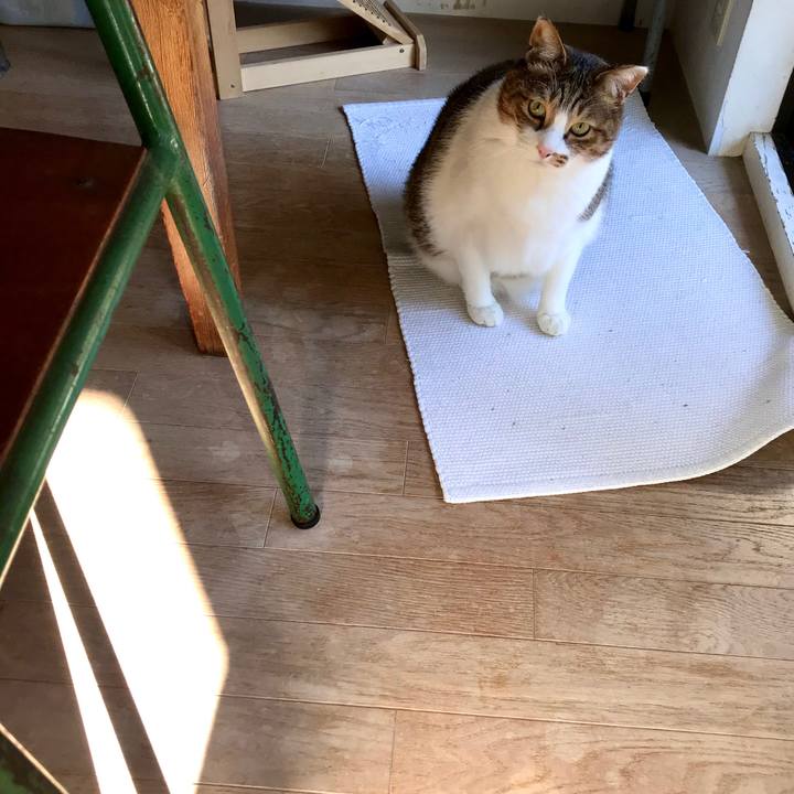 E6296b1d 57d5 4d22 9ddf 9302474d37ef 1580536417806